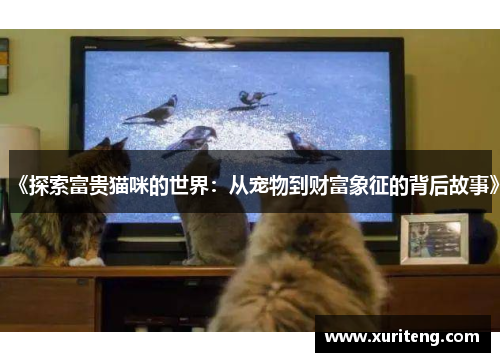 《探索富贵猫咪的世界：从宠物到财富象征的背后故事》