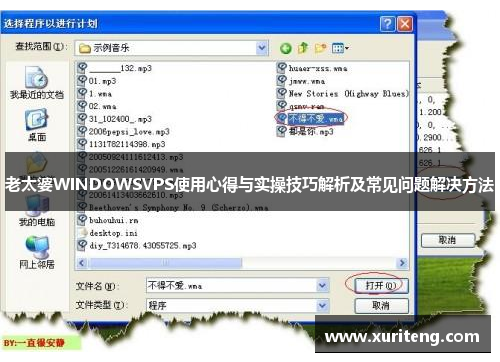 老太婆WINDOWSVPS使用心得与实操技巧解析及常见问题解决方法